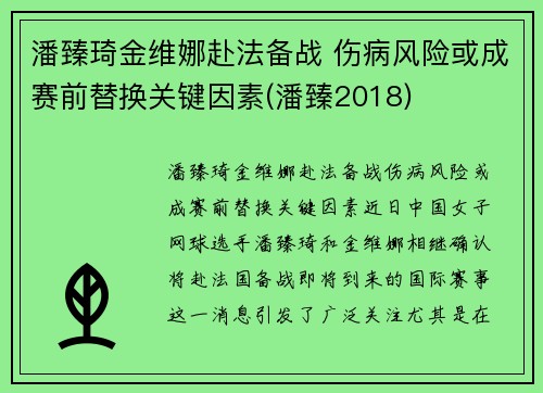 潘臻琦金维娜赴法备战 伤病风险或成赛前替换关键因素(潘臻2018)