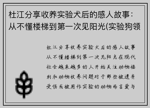 杜江分享收养实验犬后的感人故事：从不懂楼梯到第一次见阳光(实验狗领养)