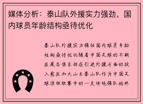 媒体分析：泰山队外援实力强劲，国内球员年龄结构亟待优化