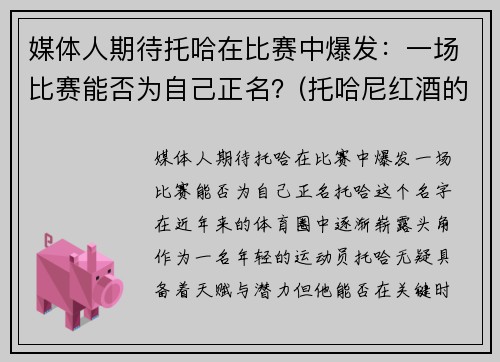 媒体人期待托哈在比赛中爆发：一场比赛能否为自己正名？(托哈尼红酒的价格)