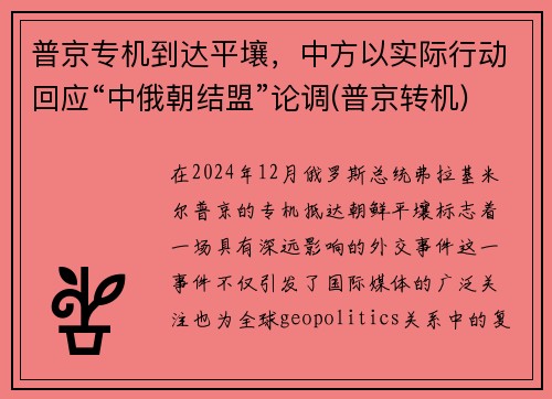 普京专机到达平壤，中方以实际行动回应“中俄朝结盟”论调(普京转机)