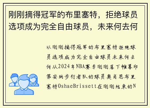 刚刚摘得冠军的布里塞特，拒绝球员选项成为完全自由球员，未来何去何从？