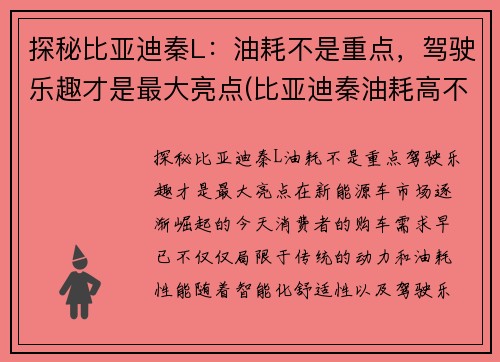 探秘比亚迪秦L：油耗不是重点，驾驶乐趣才是最大亮点(比亚迪秦油耗高不高)